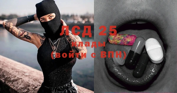 твердый Новодвинск